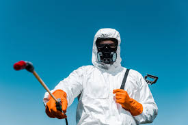 Best Termite Inspection and Treatment  in River Road, OR